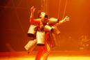 les NoNo font leur cirque 96 * 4368 x 2912 * (5.53MB)